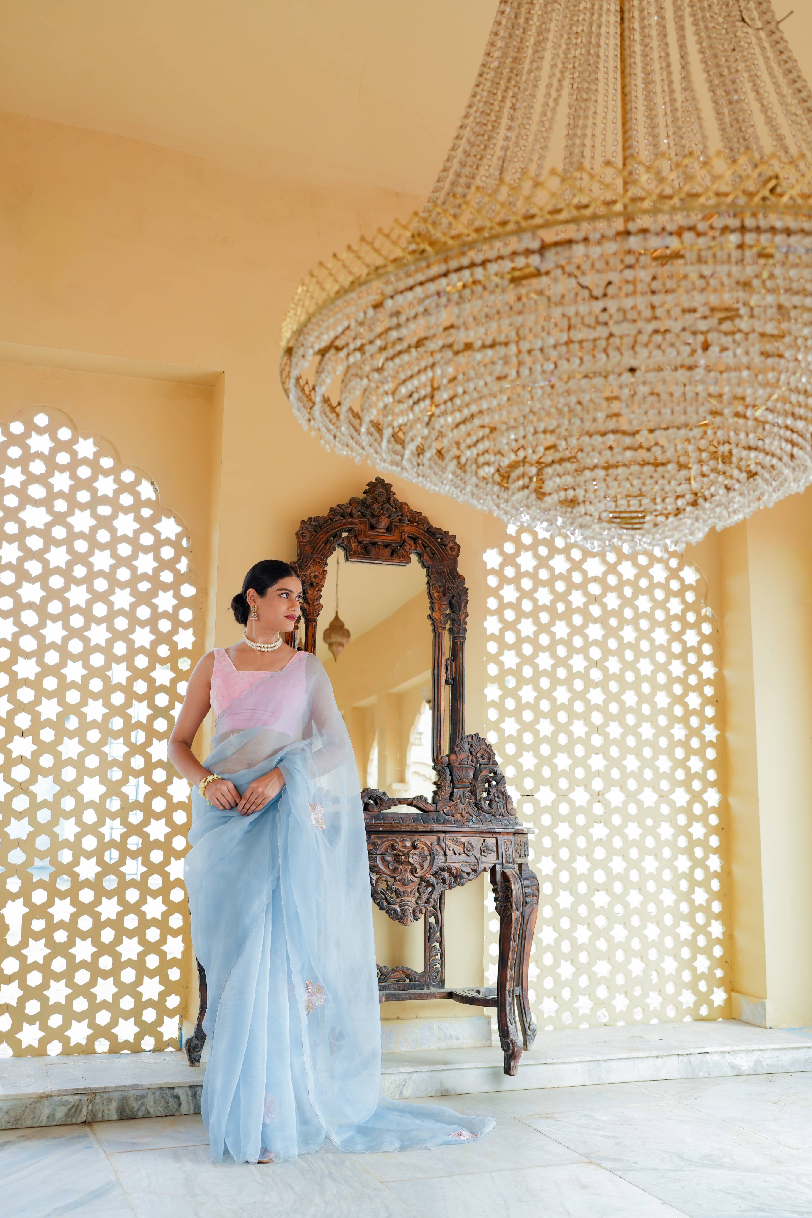 Pure orgnza saree with sequence motifs with hand Embrodiray velvet blouse