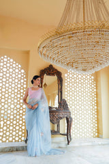 Pure orgnza saree with sequence motifs with hand Embrodiray velvet blouse