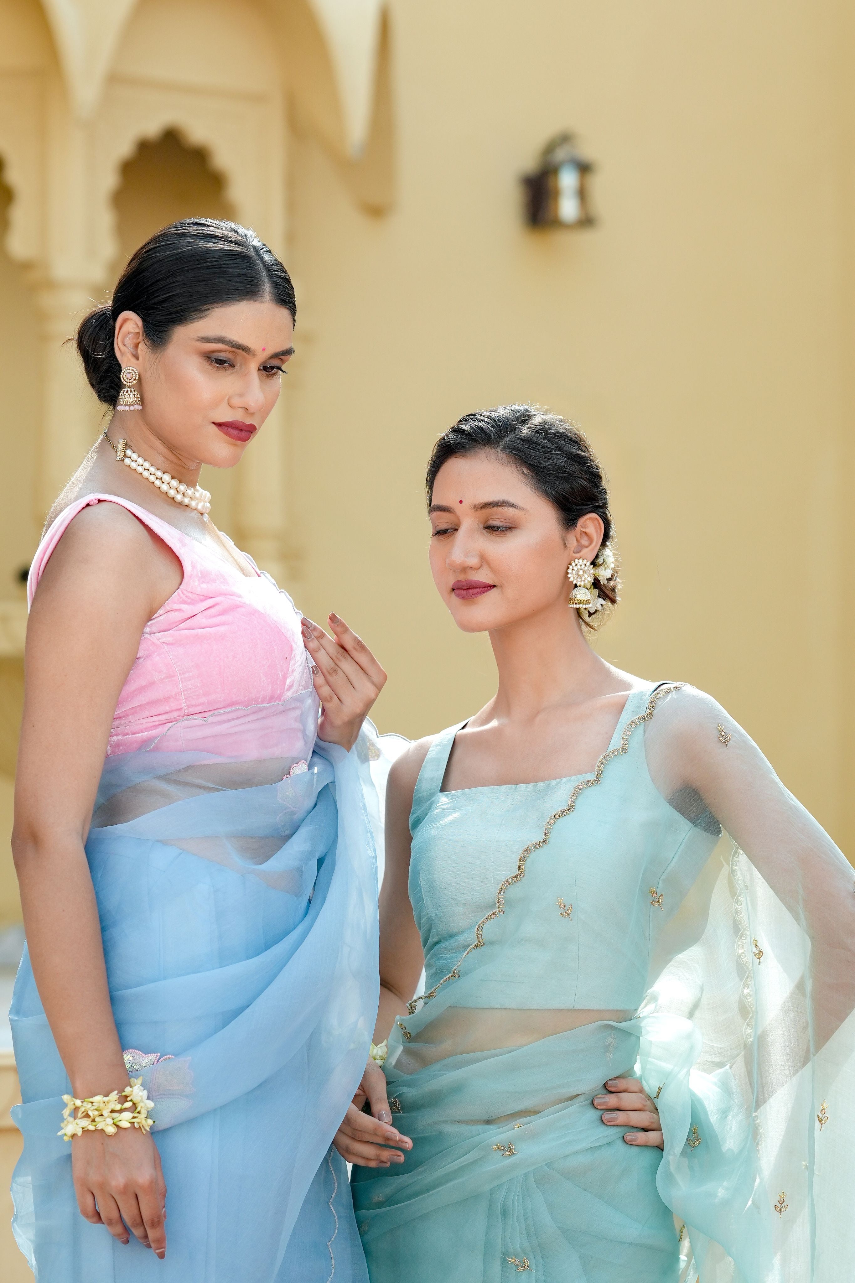 Pure orgnza saree with sequence motifs with hand Embrodiray velvet blouse