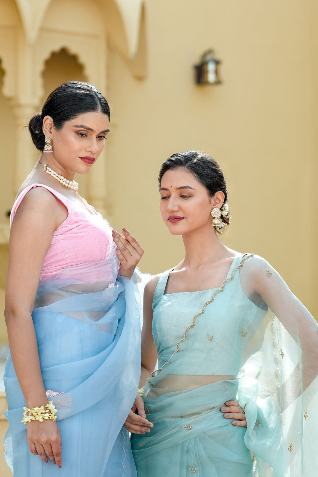 Pure orgnza saree with sequence motifs with hand Embrodiray velvet blouse