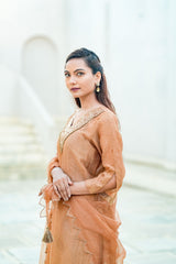 Caramel Gold Silk Chanderi Hand-Embroidered Suit Set with Sheer Organza Dupatta