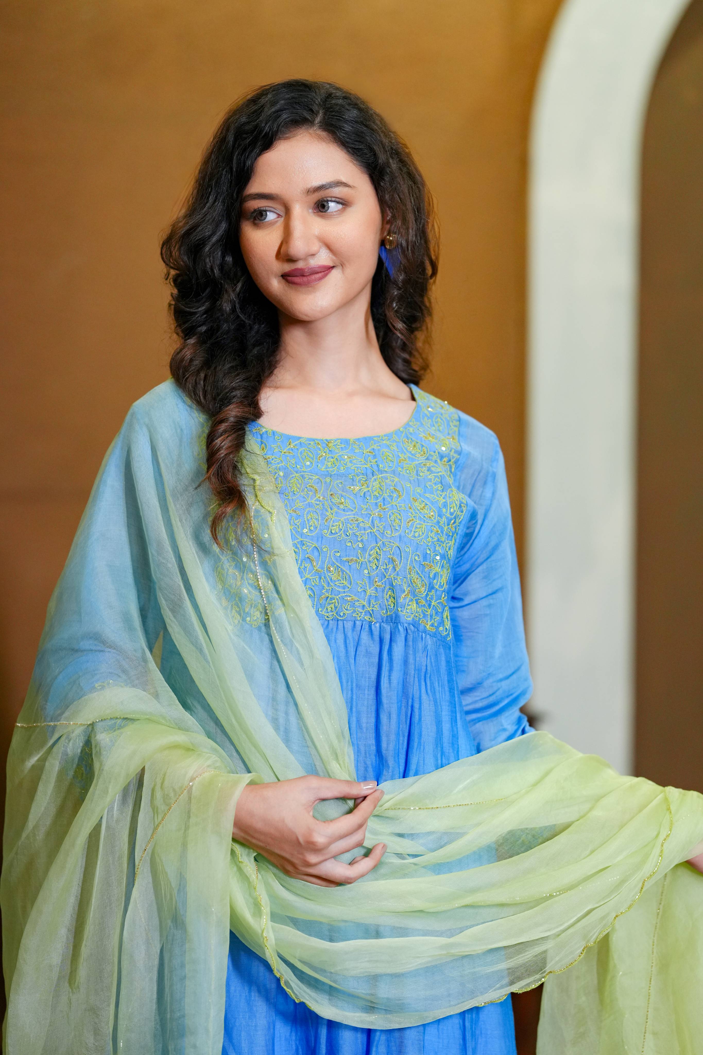 Mul chanderi Fabric orgnza dupta hand Embrodiray