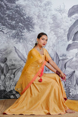 Chanderi Silk Sarara Set with Orgnza Duptta Pithon Work Detail with Gotta Work