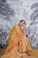 Chanderi Silk Sarara Set with Orgnza Duptta Pithon Work Detail with Gotta Work