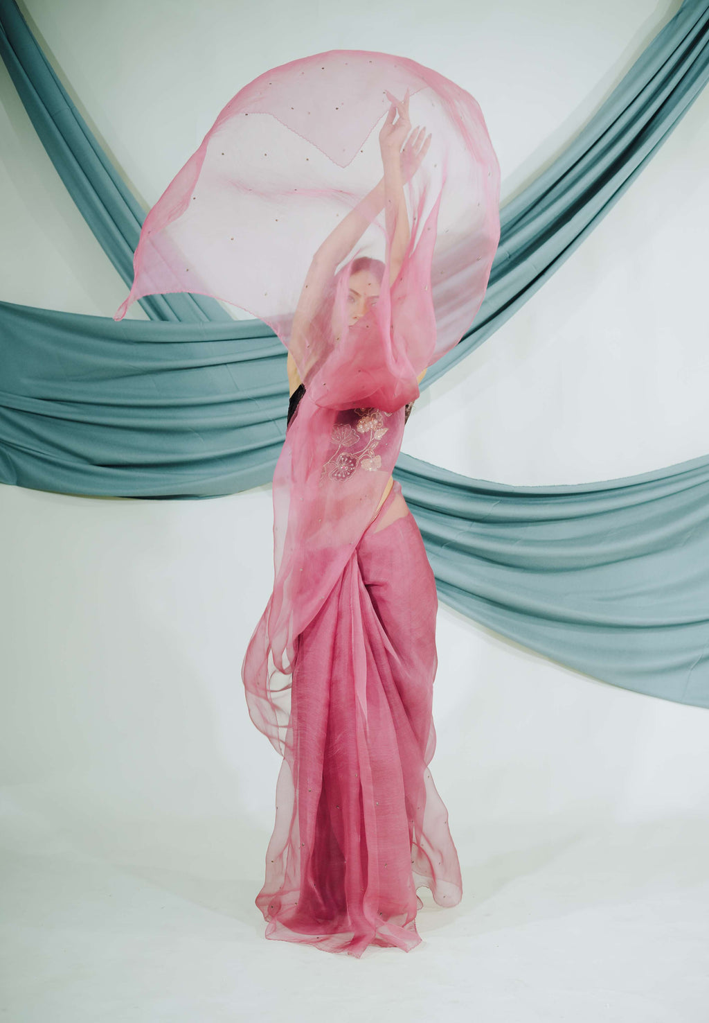 Pure Organza Saree with Classic Zardozi Hand Embroidery