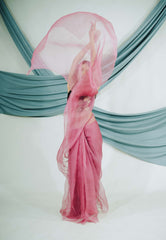 Pure Organza Saree with Classic Zardozi Hand Embroidery