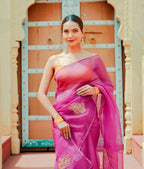 Organza Noor Hand-Embroidered Saree Set