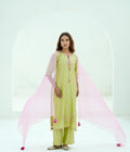 Blush Lime Silk Chanderi Hand-Embroidered Suit Set with Soft Pink Organza Dupatta