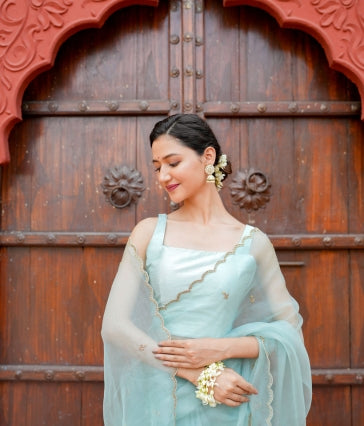 Pure orgnza saree with Dabka hand work