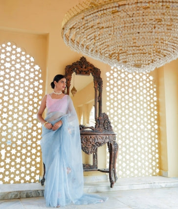 Pure orgnza saree with sequence motifs with hand Embrodiray velvet blouse