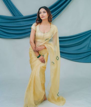 Pure Organza Saree with Exquisite Handcrafted Stone Embroidery