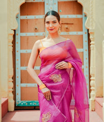 Organza Noor Hand-Embroidered Saree Set