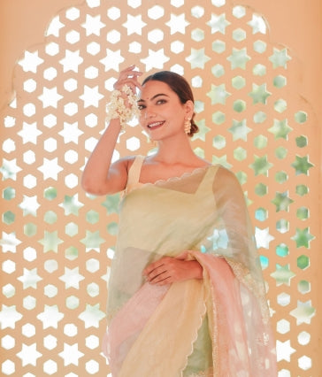 Pure Tissue Pastel Grace Saree Set