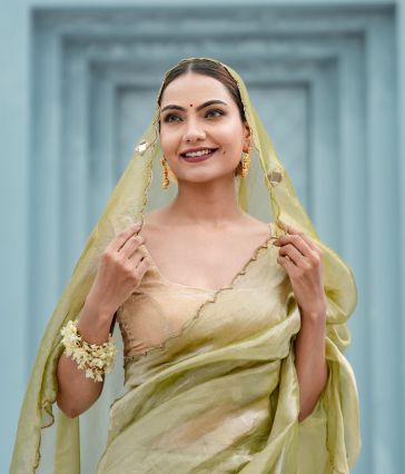 Pure tissue saree with mirror Dabka work with blouse