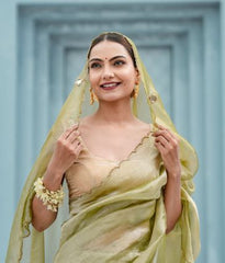 Pure tissue saree with mirror Dabka work with blouse