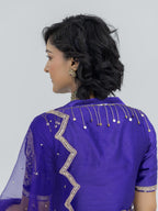 Pure Organza Saree with Chiniya Silk Blouse